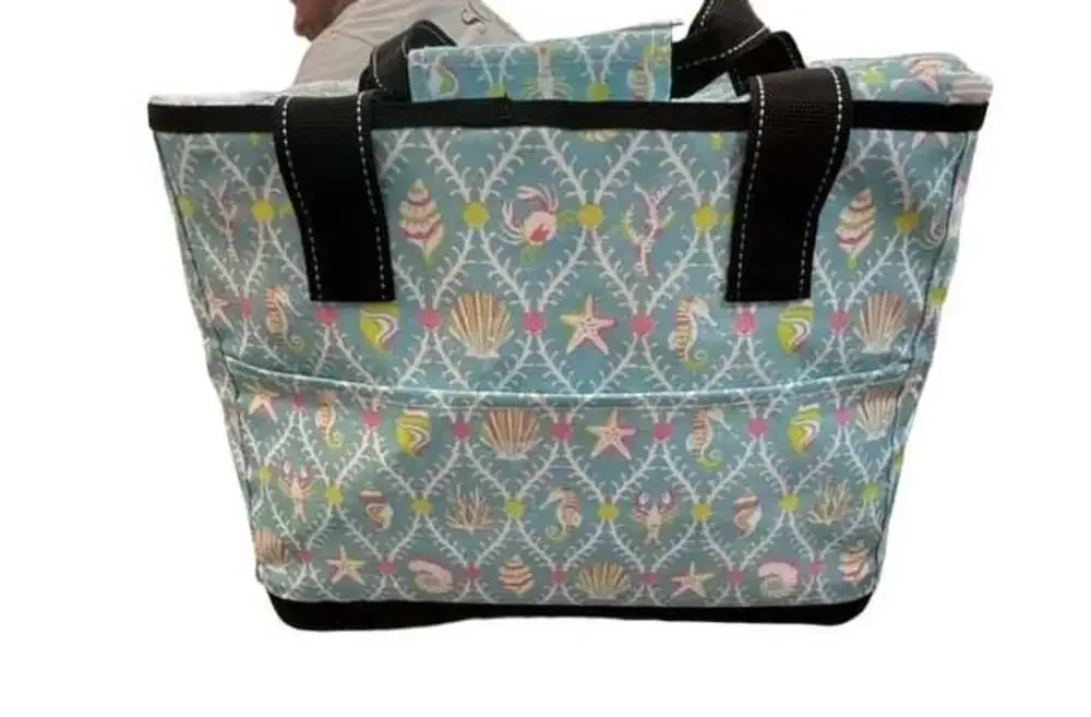 Scout Stiff One Cooler Aqua La Vista